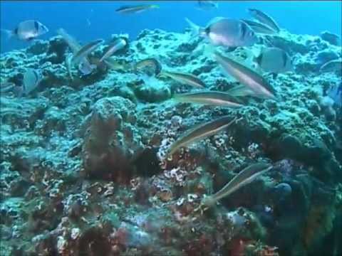 Under The Surface
