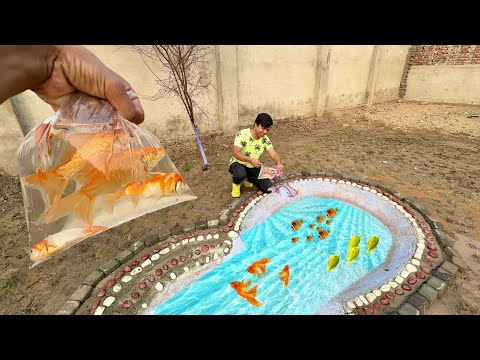 Pool Me ColourFul Fishes Chor Di 🎏🐠