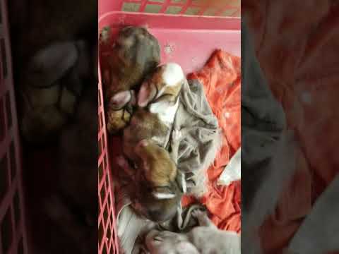 21 de febrero de 2023