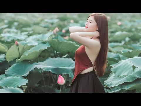 Cut Off - Escuro (  On Trend Remix )