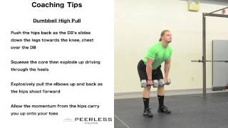 313. Dumbbell High Pull