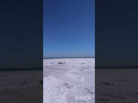 Miramar Ansenuza Córdoba Argentina 2026