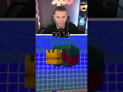 Welches MOB TAUCHT LÄNGER? 😱 (Minecraft)