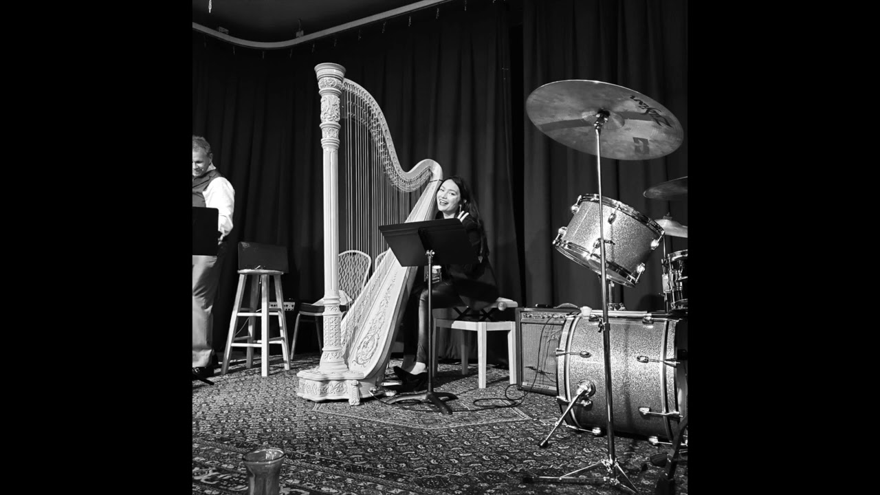 Promotional video thumbnail 4 for Kari Novilla - Harpist