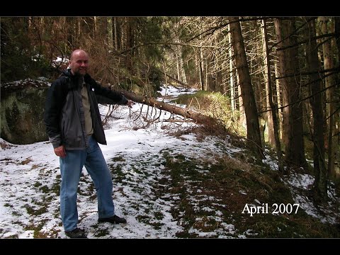 Lost Places im Hochharz: Oberer Buchhorst, Buchhorstklippenweg
