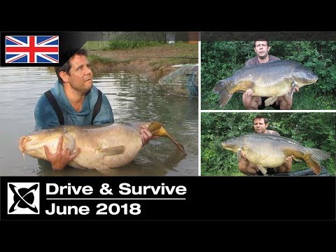 ***Carp Fishing*** Drive & Survive June 2018 - Right Place, Right Time