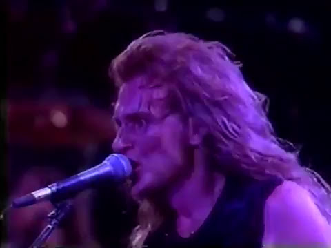 Megadeth - Live at Rock In Rio II 1991