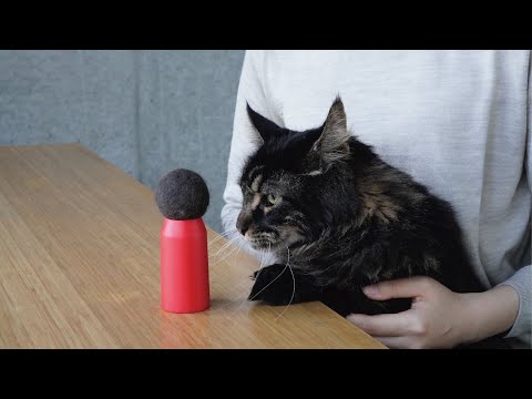 美術学科 【産学連携】祈りのかたち展 Vol.2 アルテマイスター×東京造形大学 大学院