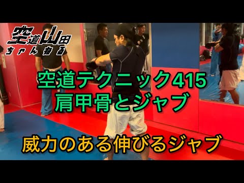 【武道】空道テクニック415「肩甲骨とジャブ」【格闘技】