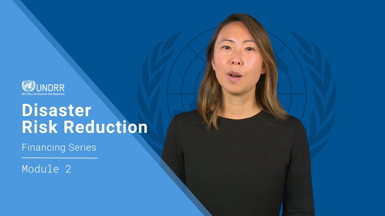 Module 2: Analyzing the current financial landscape | UNDRR
