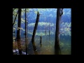 Annie's Song   Pan Flute  HD