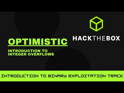 Hack The Box - Introduction to Binary Exploitation - Optimistic -  [Walkthrough]