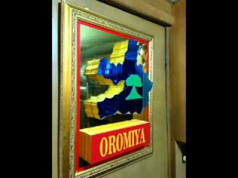 Oromummaan Dhiiga: By Beenyaa Dirbabaa