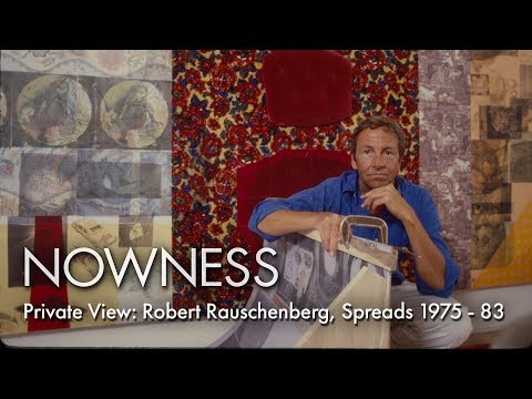 Private View: Robert Rauschenberg