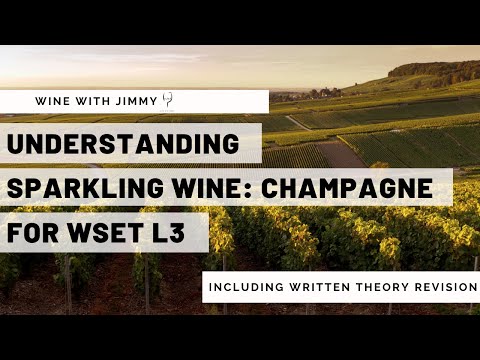 Understanding Sparkling Wine for WSET L3 Part 3 - Champagne