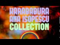 Ana Isopescu Gainusa Nusa