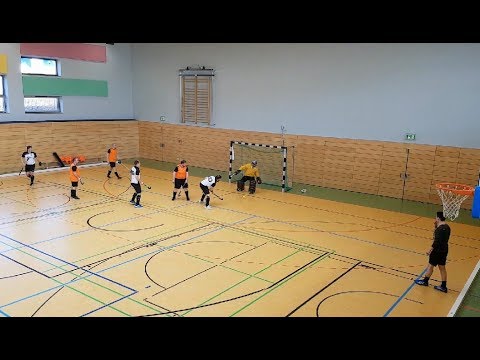 MSV Bautzen 04 vs. TSV Neundorf, 11.03.2018