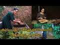 കുടംപുളി പറിച്ചു ഉണക്കാൻ എന്നെ സഹായി