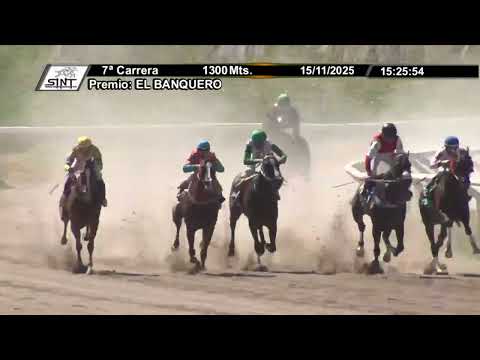 SINT COLONIA 251115 c07 - DON SULEYMAN