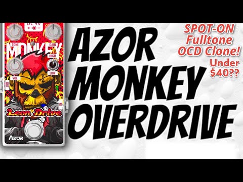 AZOR “MONKEY” OVERDRIVE - Spot-On Fulltone OCD Clone for under $40?? 😹   AZOR’S New 5 Series