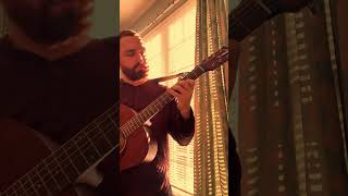 Opeth a fair judgement acoustic guitar