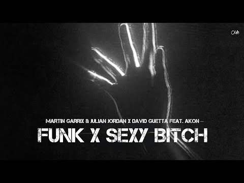 Martin Garrix & Julian Jordan x David Guetta feat. Akon - Funk x Sexy Bitch (Raiy Mashup)