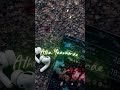 Yuvan Hits Kuthithanae Kushi Aagavse Oshala Oshala Love Watsapp Status ️ ️ ️