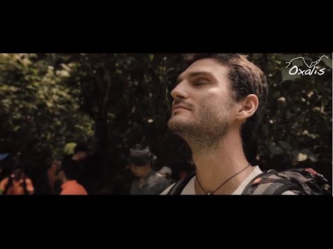 Hang Va 2-Day Expedition | Underground Caving Adventure in Vietnam | Explore the rarest formations!