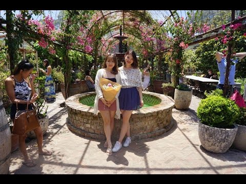 #KRISMAE 1.6 SYDNEY TRAVELOUGUE D3 - THE GROUNDS ALEXANDRIA