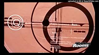 Future Prophecies - Born Dub (2000)