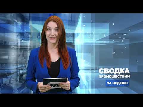 Сводка происшествий / 23.10.2023