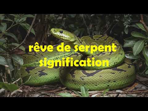 que signifie voir un serpent dans un rêve?/rêve de serpent qui attaque/noir/blanc/rouge/mord