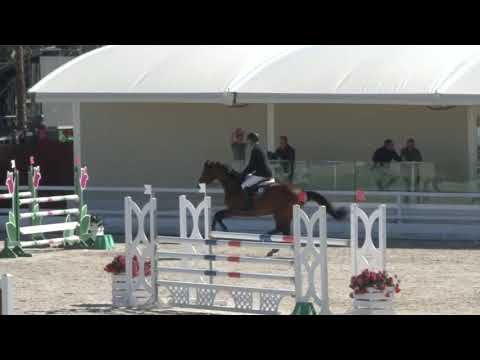 Stall NAGEL NASHVILLE von Nerrado