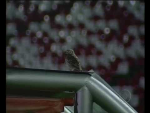 Inter 2x0 Náutico - Globo Esporte Matéria - Oitavas de Final - Copa do Brasil 2009 - 06/05/2009