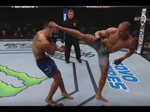 The Powerful Organizations Behind MMA