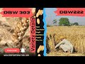 DBW 222 AND DBW 303 VARIETY YIELD, HEIGHT, TIME DETAIL