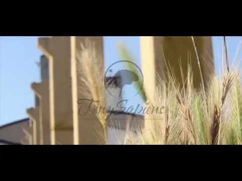 Tony Sapiens - Sapiensopoli (Intro) (Prod. Memo) [Teaser]