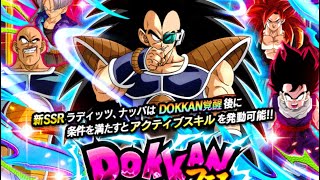 ドッカンフェスでフェス限祭り