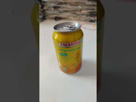 who ever drink chrysanthemum