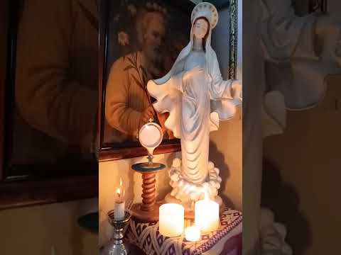 Adoración al Santísimo Sacramento del Altar con el Padre Fabian Esteban Oliva. 30/12/25