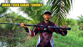 Download lagu SERU BANGET!! MANCING IKAN GABUS PAKAI JORAN TEGEK TERKUAT mp3 Download lagu SERU BANGET!! MANCING IKAN GABUS PAKAI JORAN TEGEK TERKUAT mp3