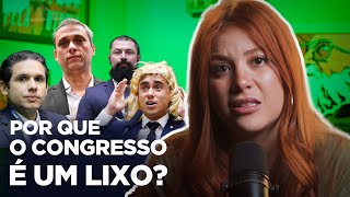 Por que a esquerda NUNCA vai ser a maioria no congresso?