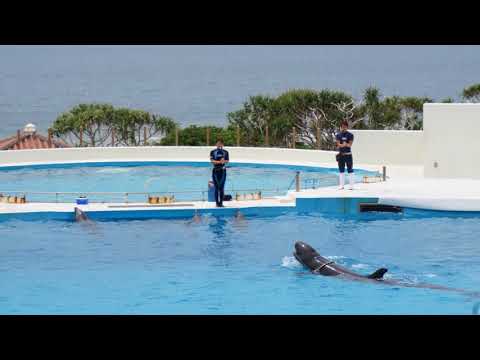 Okinawa GO Travel Guide
