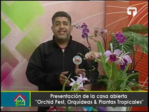 Presentación de la casa abierta Orchid Fest, Orquídeas & Plantas Tropicales