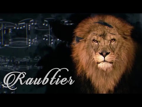 MASSIV FT. KOLLEGAH & FARID BANG - RAUBTIER (OFFICIAL HD VERSION)
