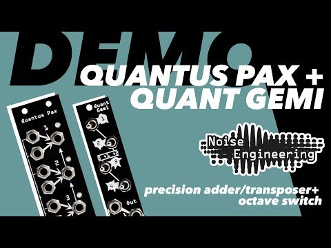 Noise Engineering Quantus Pax 2019 Black image 4