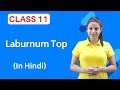 The Laburnum Top Class 11 | Full (हिन्दी में)