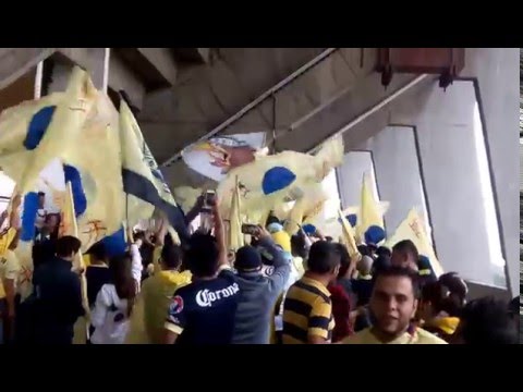 "Ritual del Kaoz al ritmo de Bailando - 2015" Barra: Ritual Del Kaoz &bull; Club: América