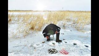 Где в челябинской области зимой клюет карась