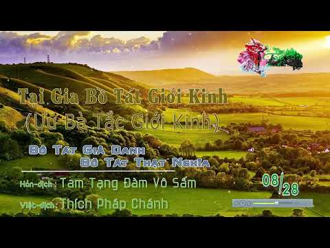 Ưu Bà Tắc Giới Kinh 8/28 - Bồ Tát Giả Danh Bồ Tát Thật Nghĩa